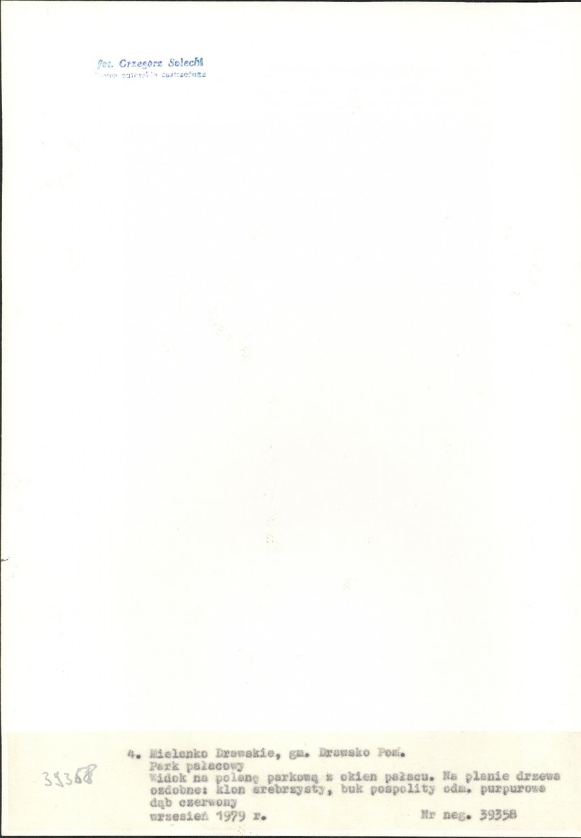 Ewidencja parkowa, skan nr 28