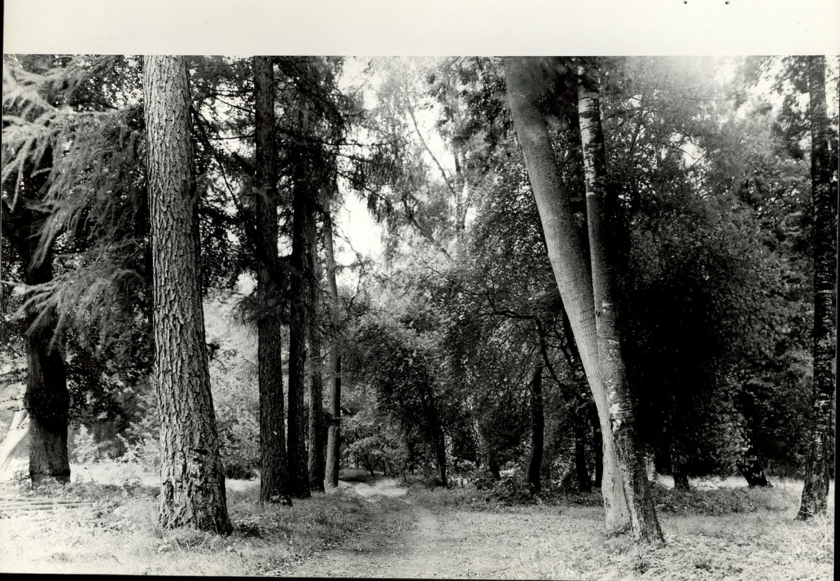 Ewidencja parkowa, skan nr 29