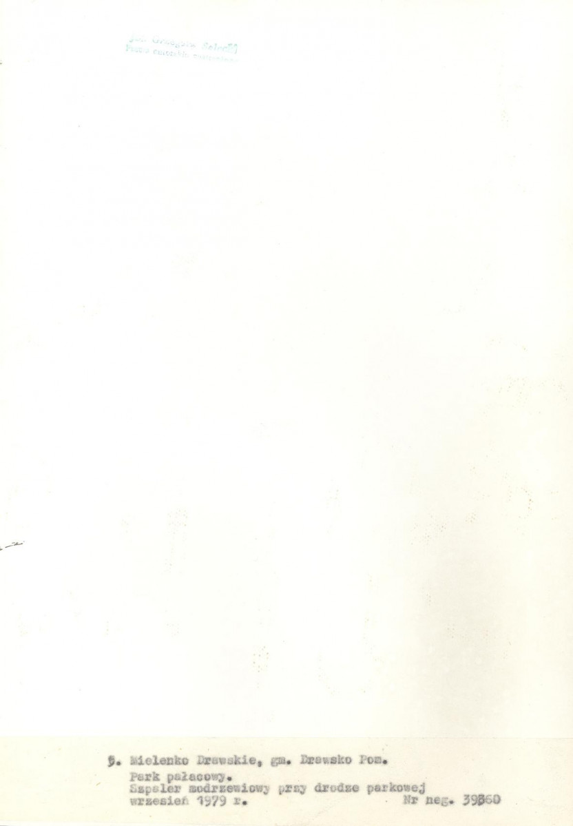 Ewidencja parkowa, skan nr 30