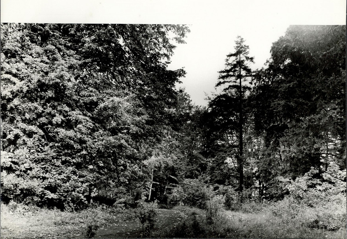Ewidencja parkowa, skan nr 25