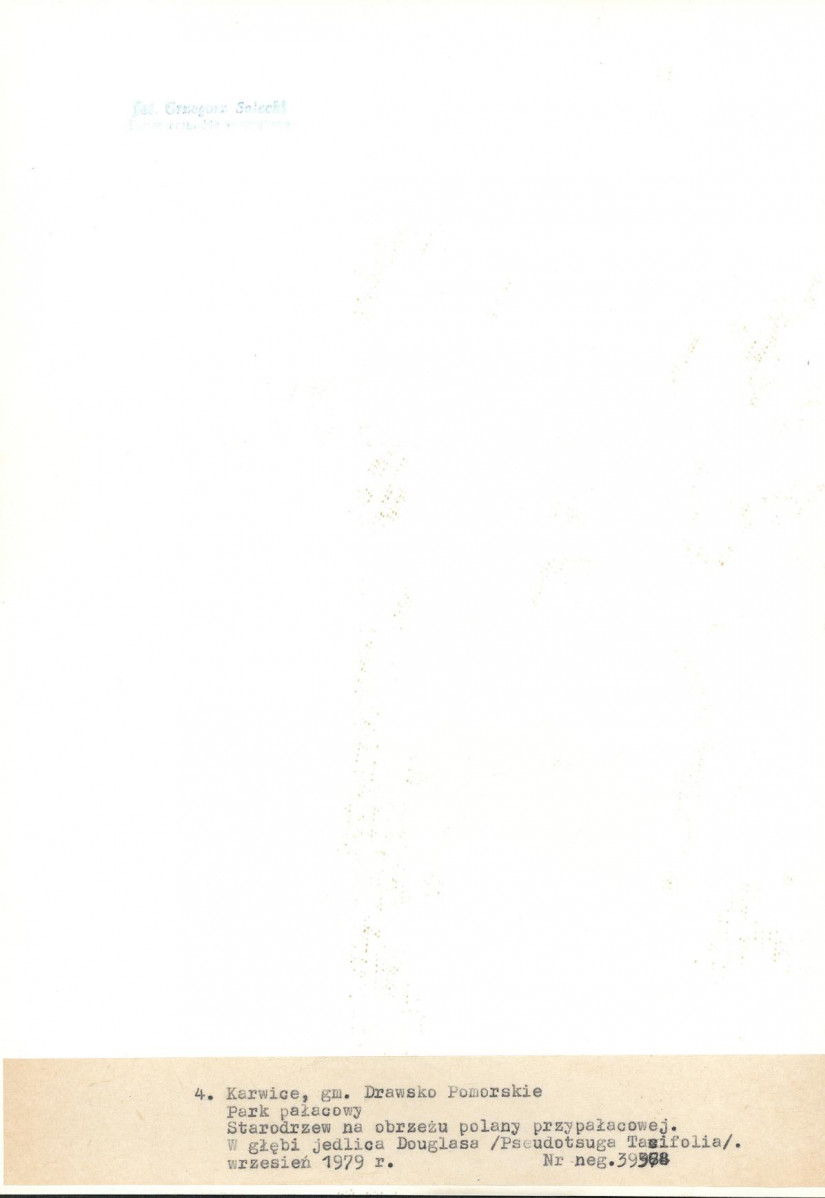 Ewidencja parkowa, skan nr 26