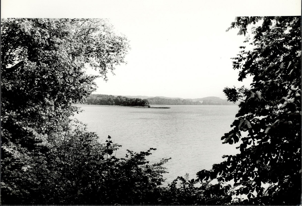Ewidencja parkowa, skan nr 27