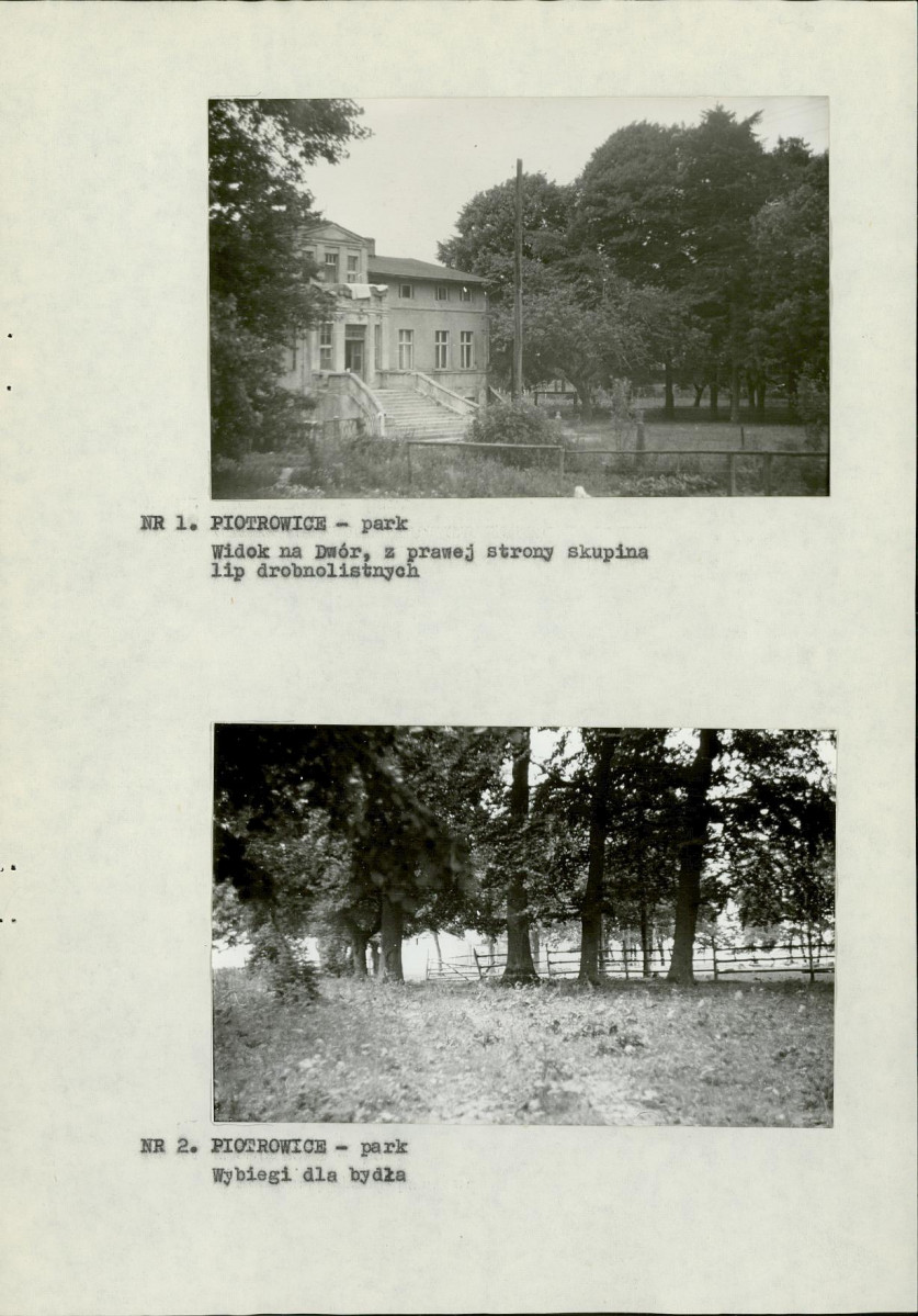 Ewidencja parkowa, skan nr 10