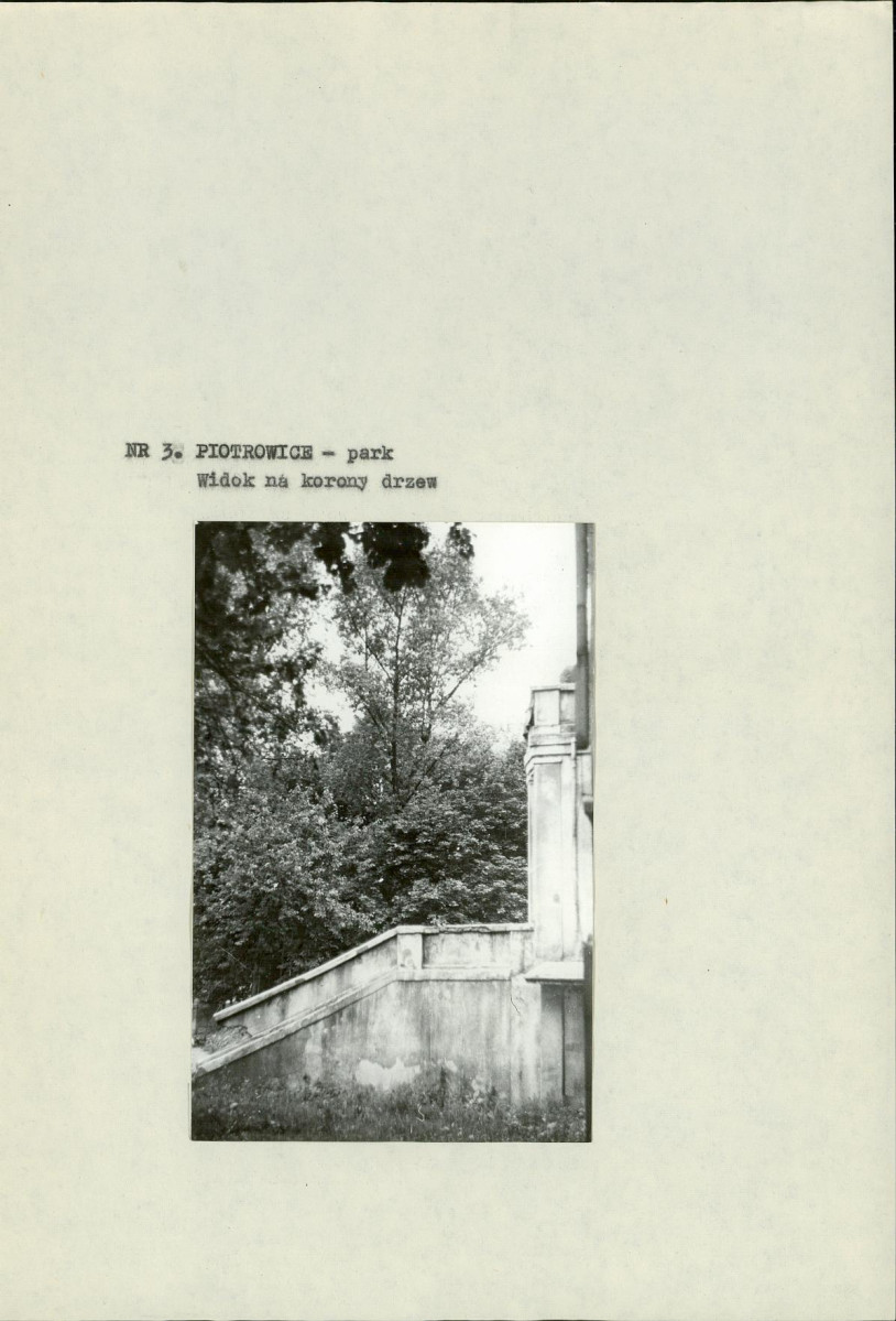 Ewidencja parkowa, skan nr 11