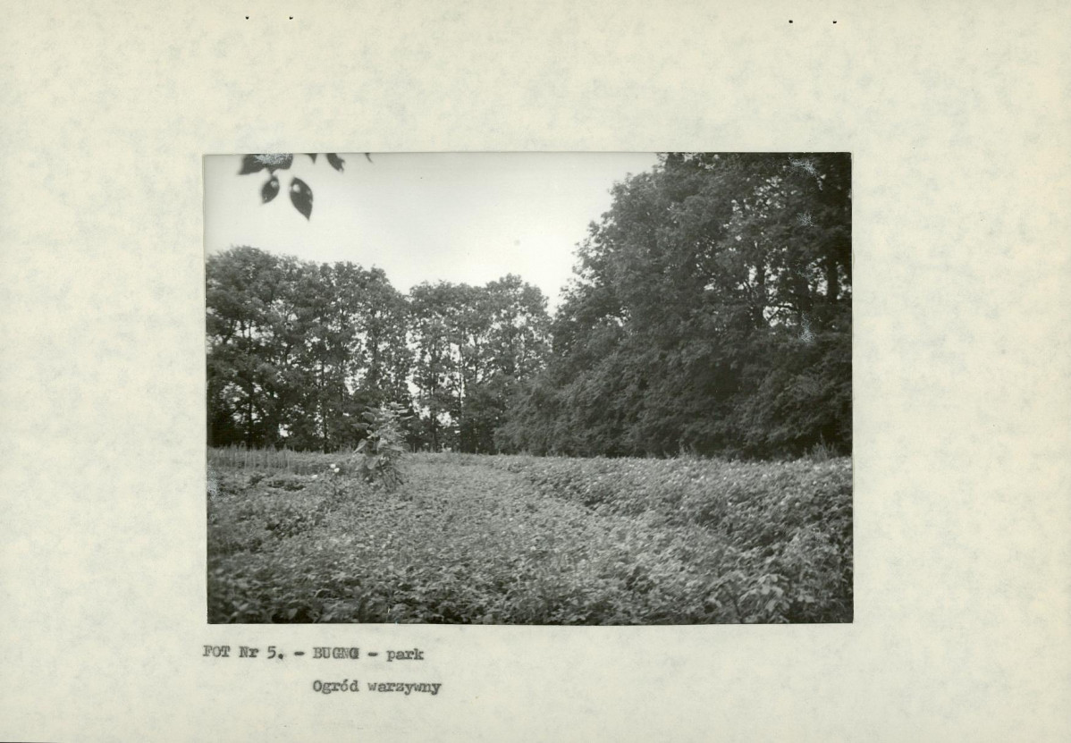 EP - Ewidencja parkowa, skan nr 17