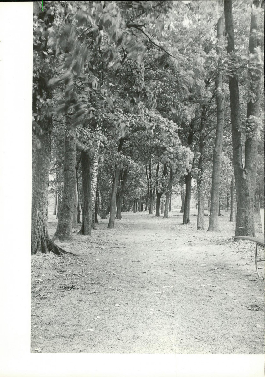 Ewidencja parkowa, skan nr 22