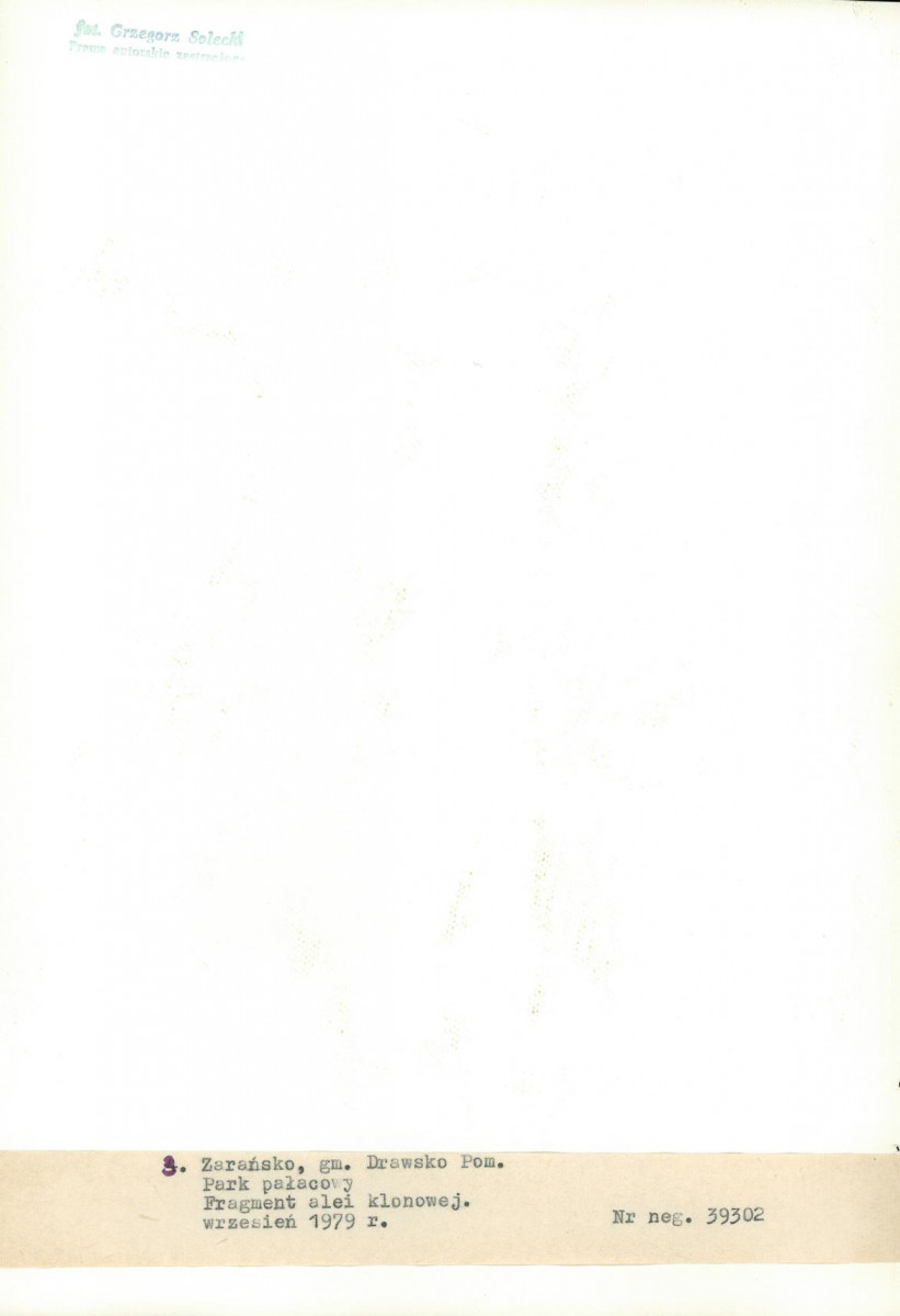 Ewidencja parkowa, skan nr 23