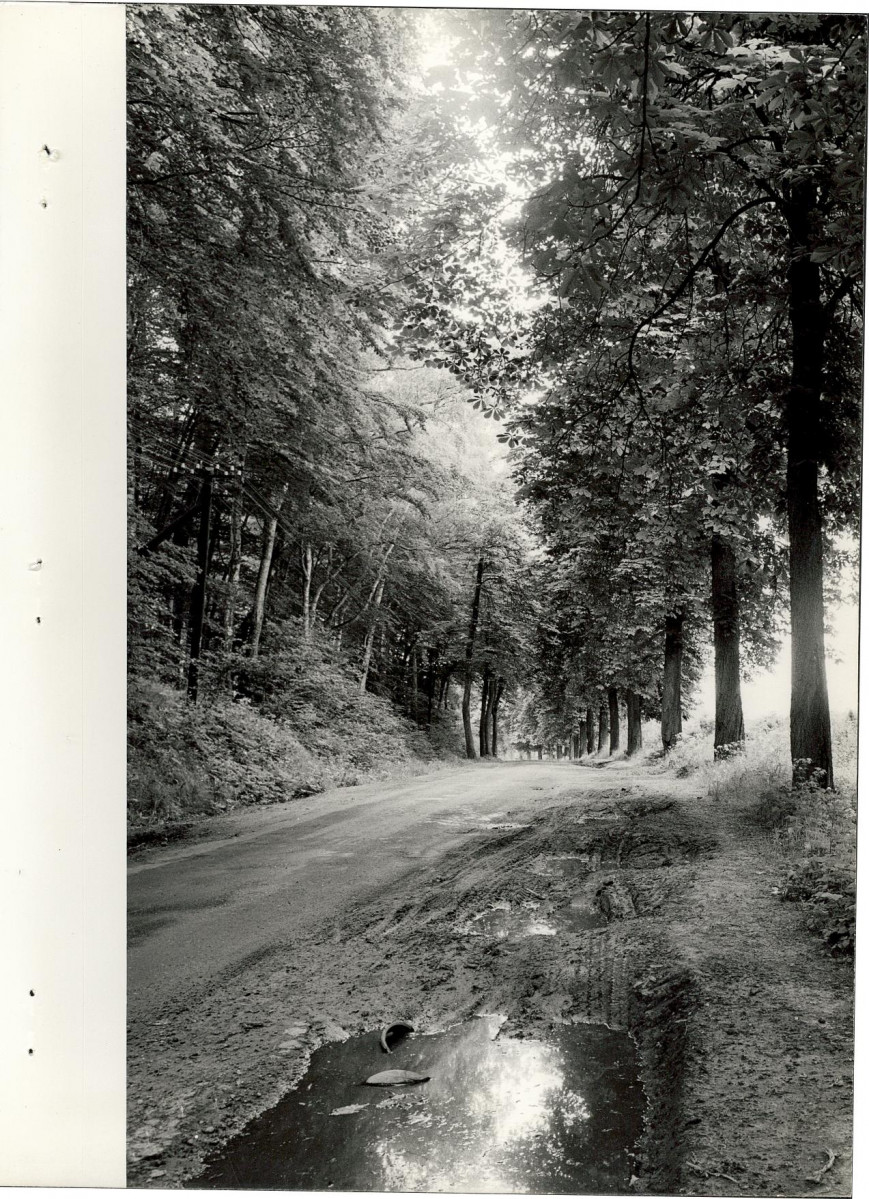 Ewidencja parkowa, skan nr 20
