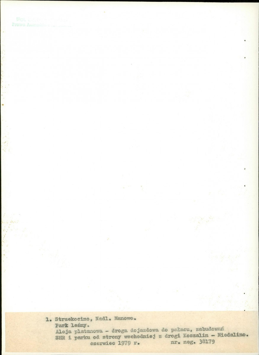 Ewidencja parkowa, skan nr 19