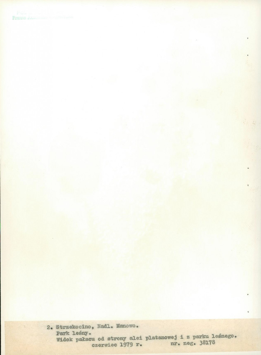 Ewidencja parkowa, skan nr 21