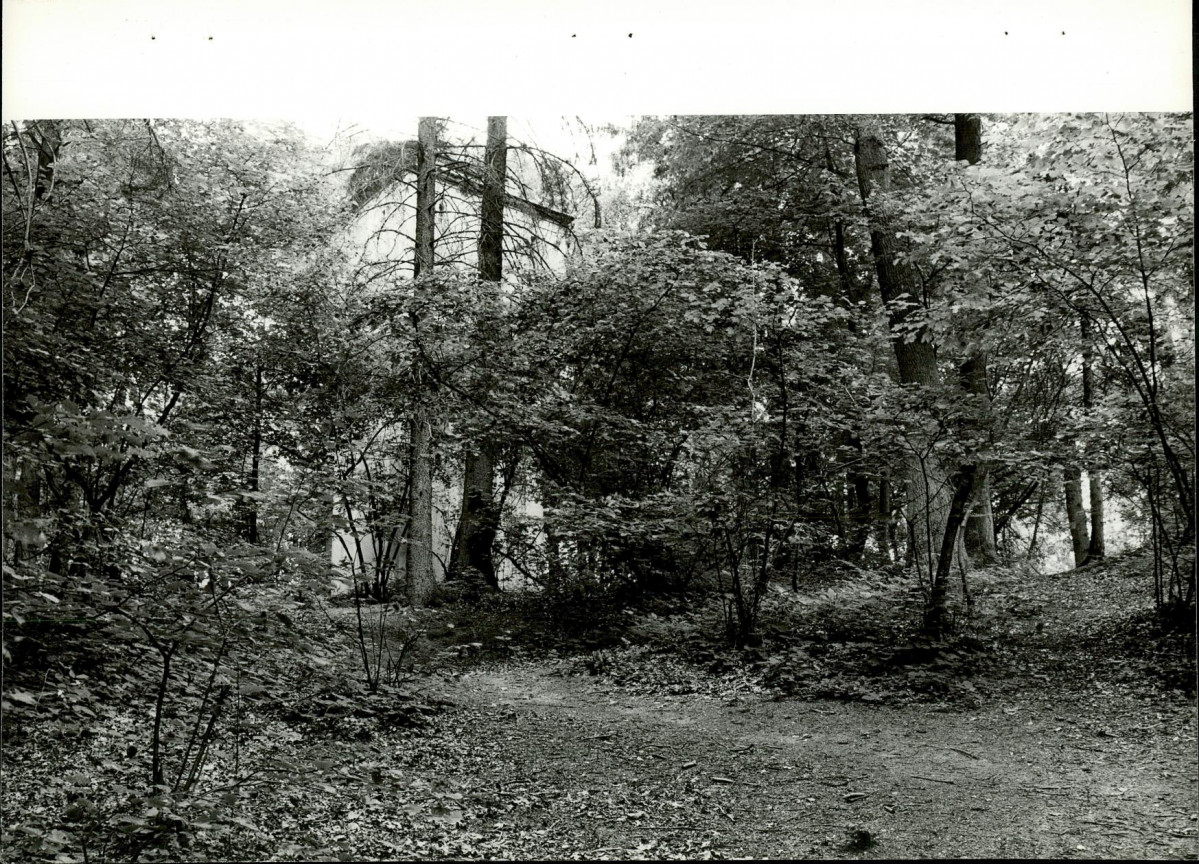 Ewidencja parkowa, skan nr 26