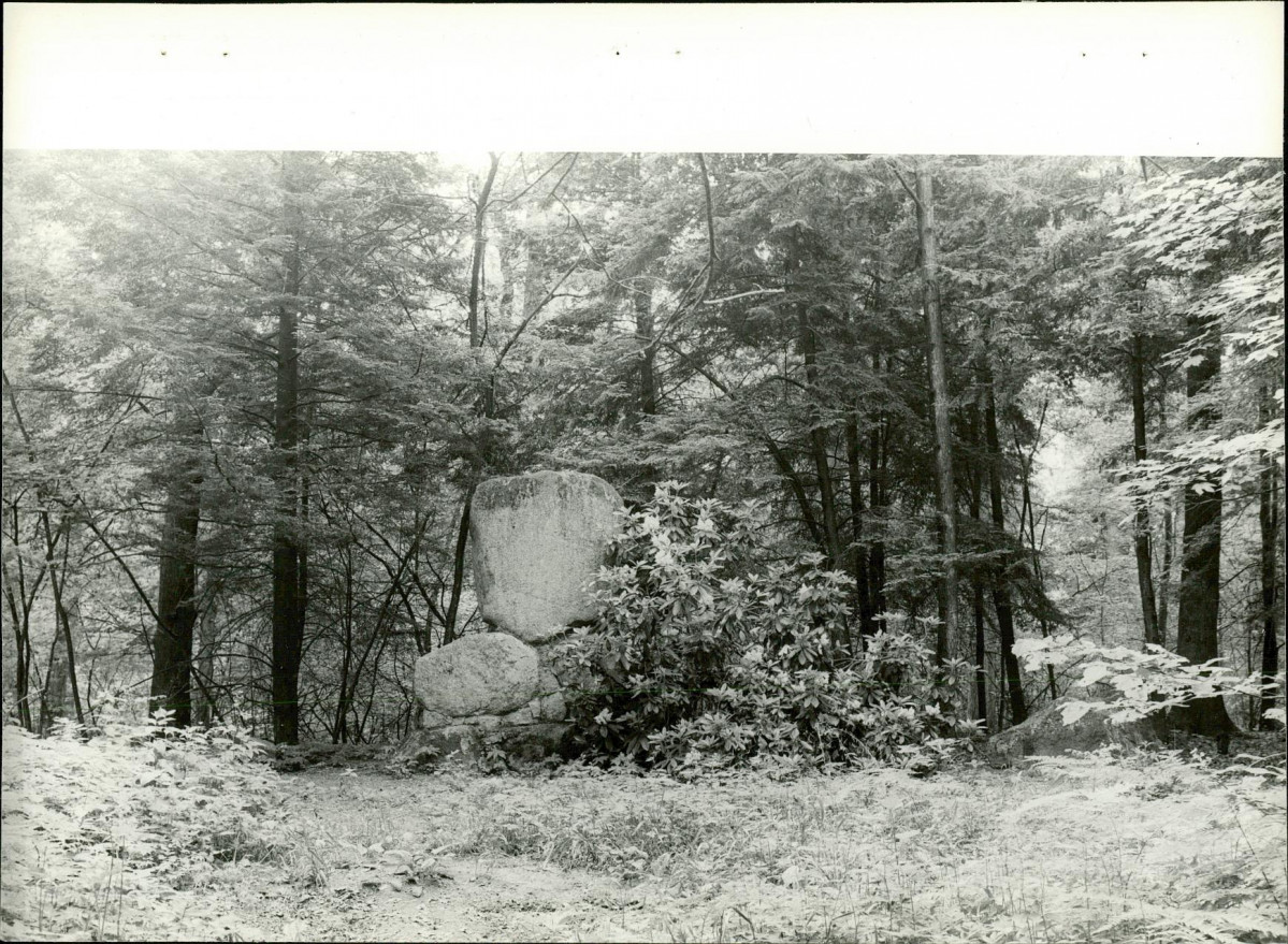 Ewidencja parkowa, skan nr 28