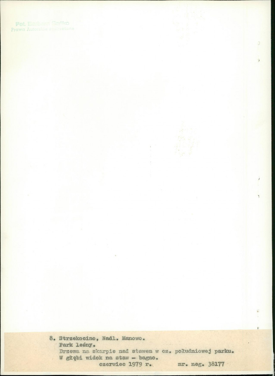 Ewidencja parkowa, skan nr 33