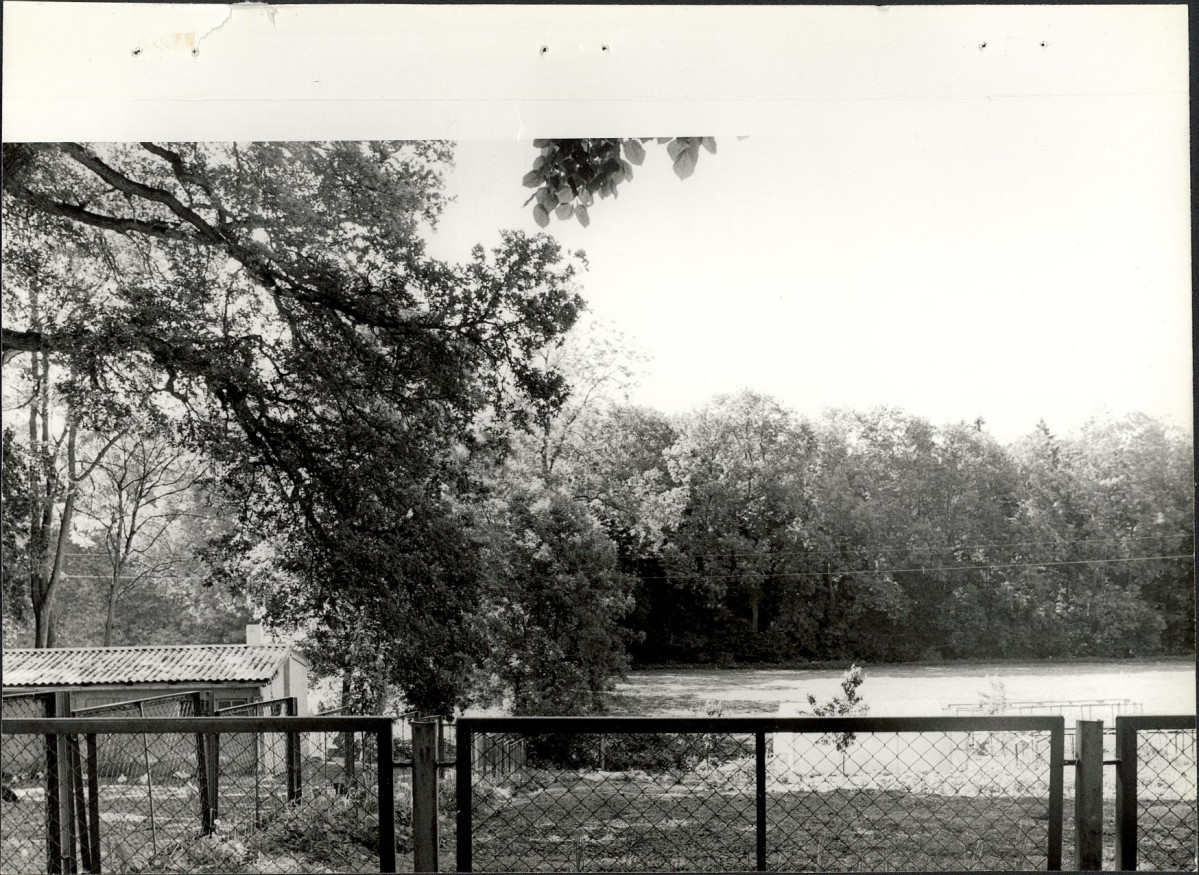 Ewidencja parkowa, skan nr 19
