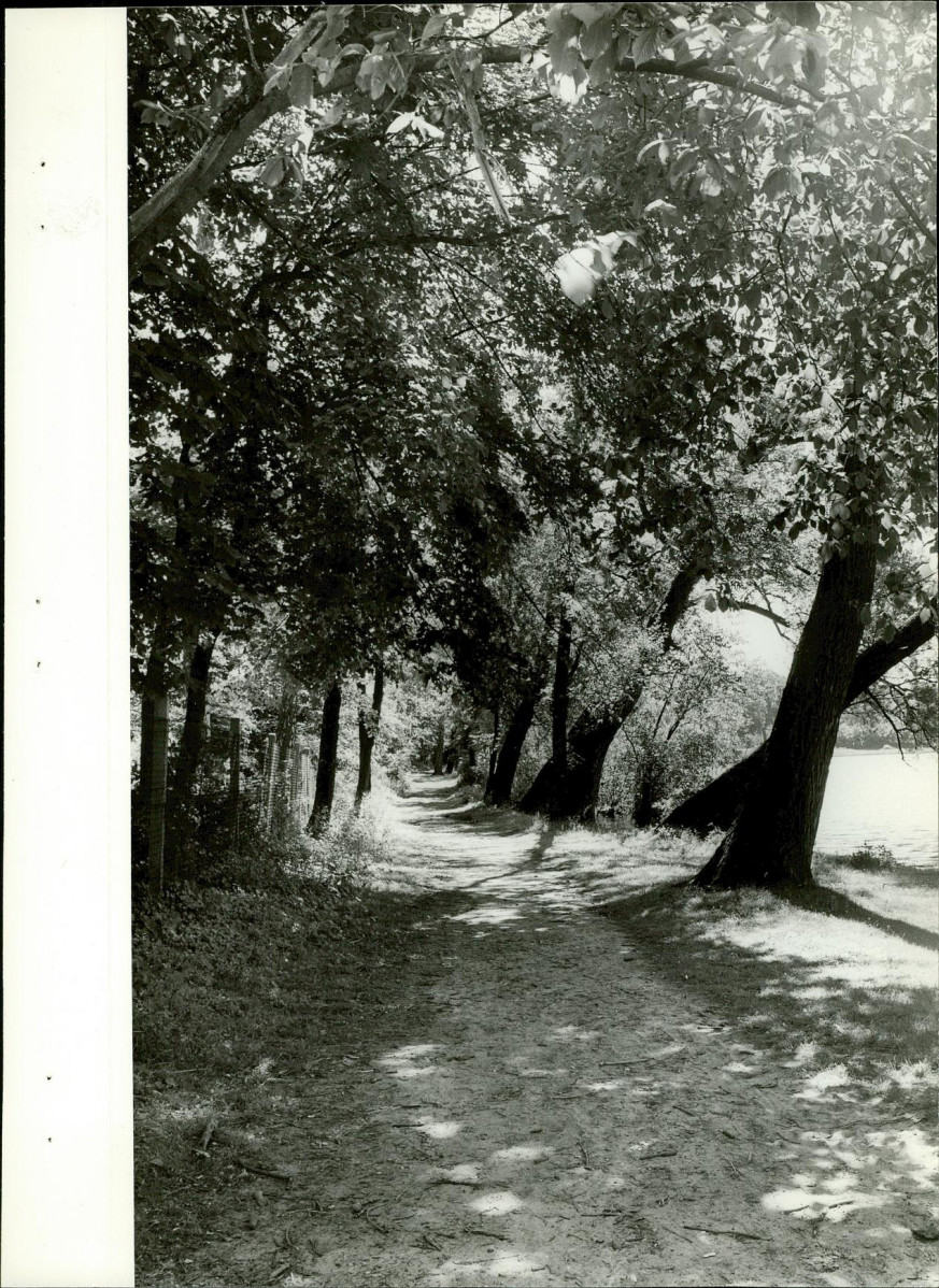 Ewidencja parkowa, skan nr 23