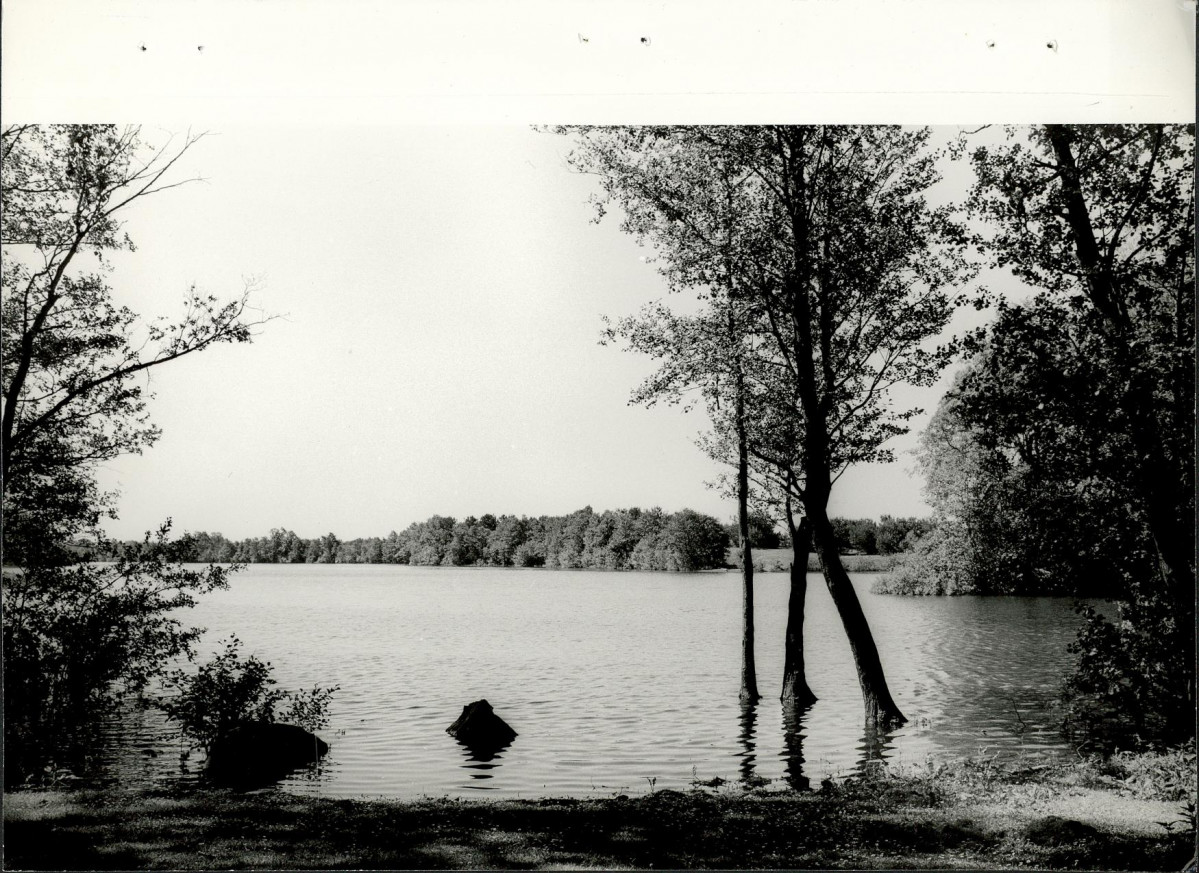 Ewidencja parkowa, skan nr 25