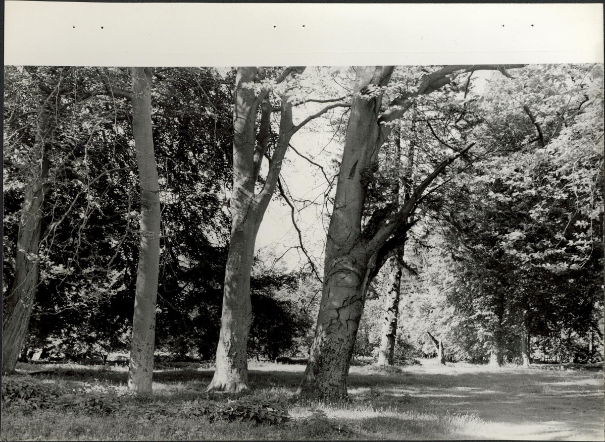 Ewidencja parkowa, skan nr 19