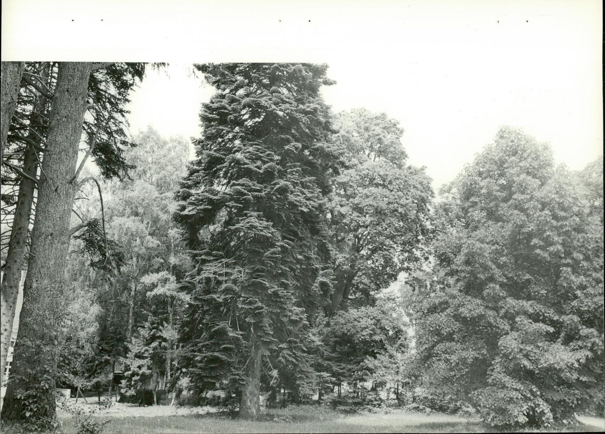 Ewidencja parkowa, skan nr 16