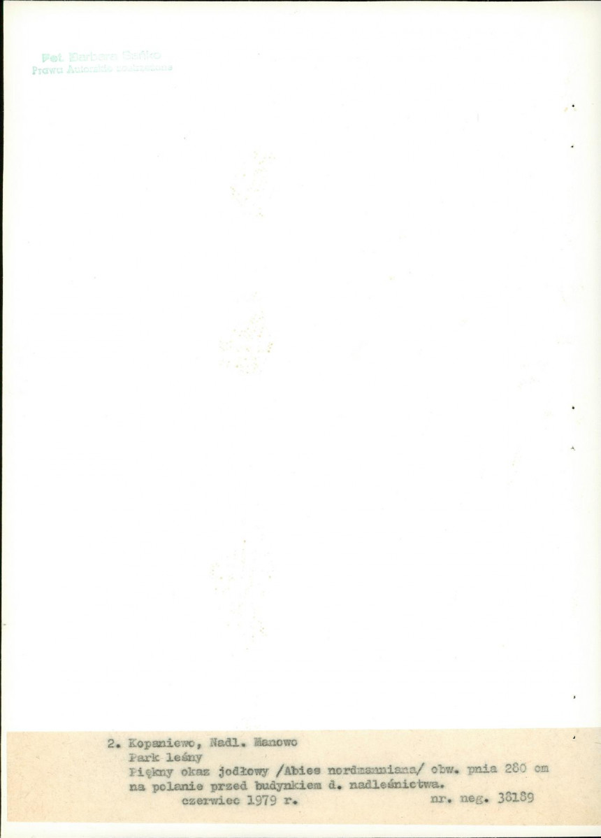 Ewidencja parkowa, skan nr 17