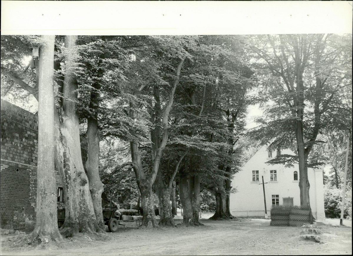 Ewidencja parkowa, skan nr 18