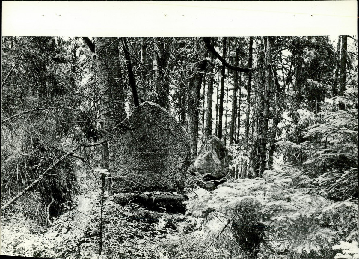 Ewidencja parkowa, skan nr 20