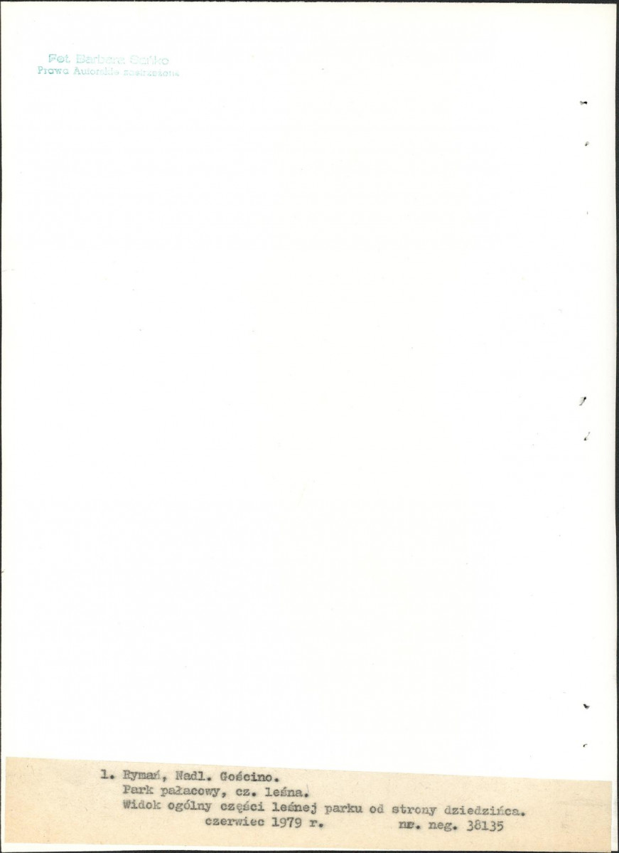 Ewidencja parkowa, skan nr 21