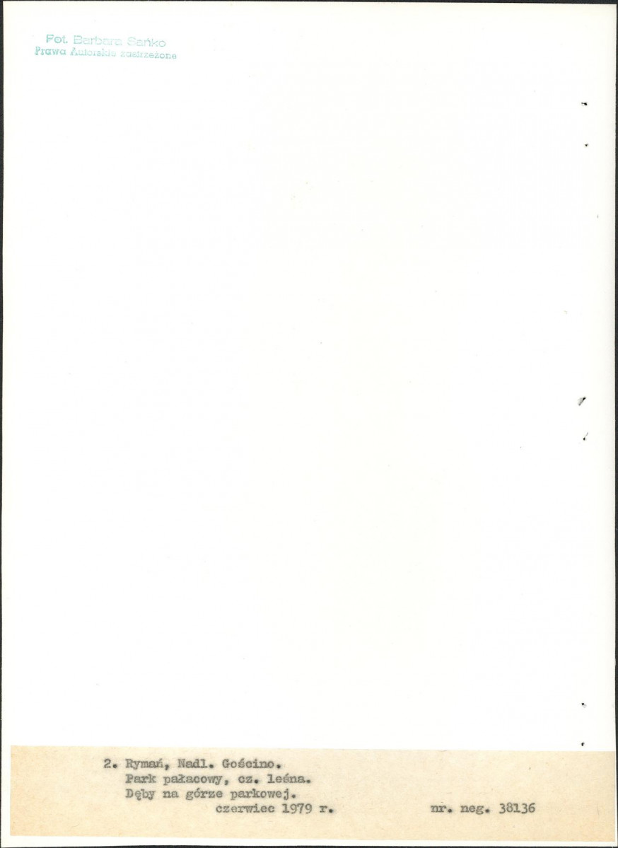 Ewidencja parkowa, skan nr 23