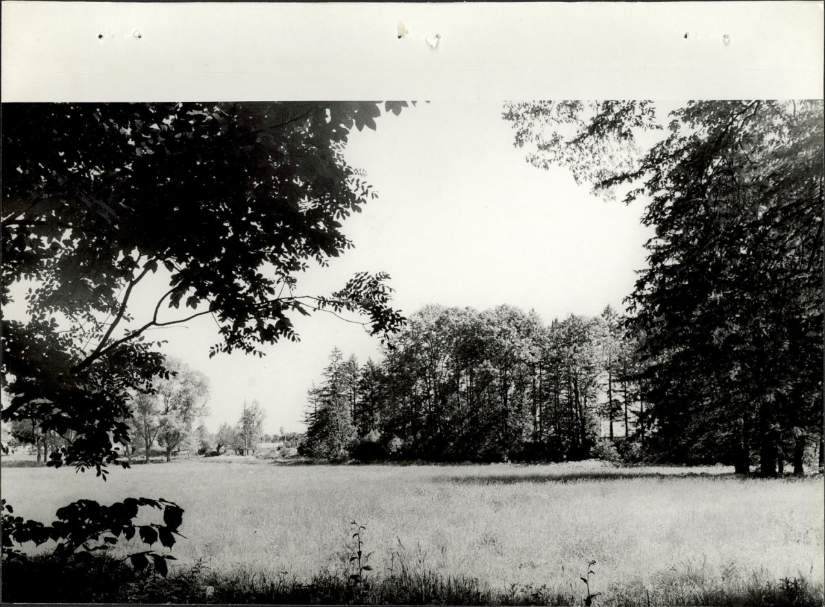 Ewidencja parkowa, skan nr 28
