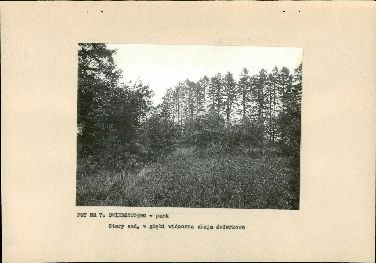 EP - Ewidencja parkowa, skan nr 21