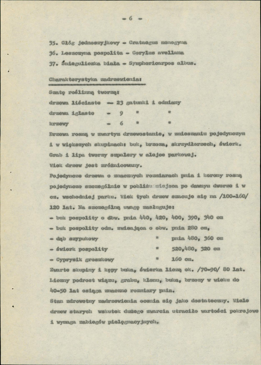 Ewidencja parkowa, skan nr 10