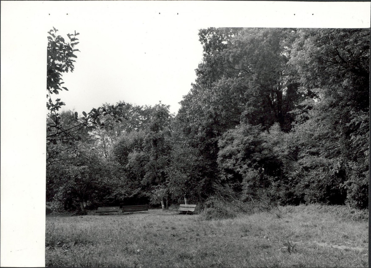 Ewidencja parkowa, skan nr 24
