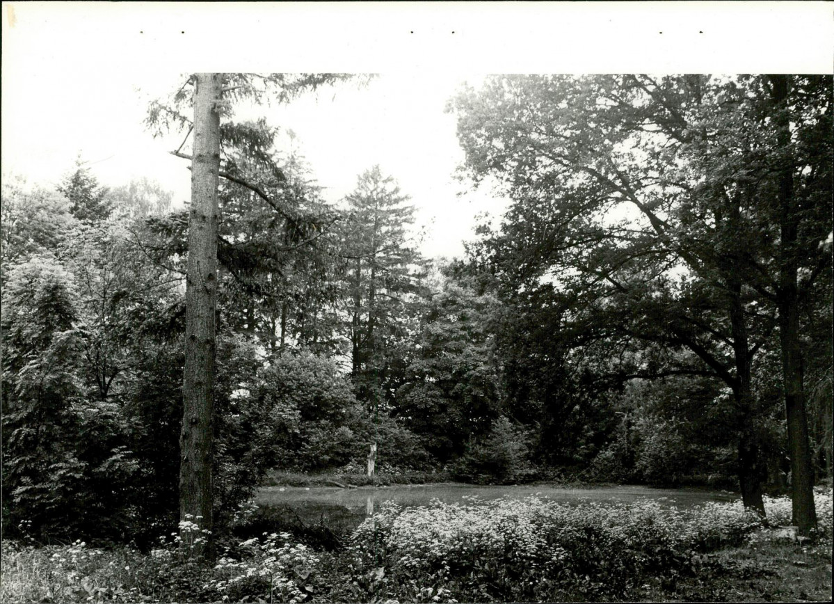 Ewidencja parkowa, skan nr 20