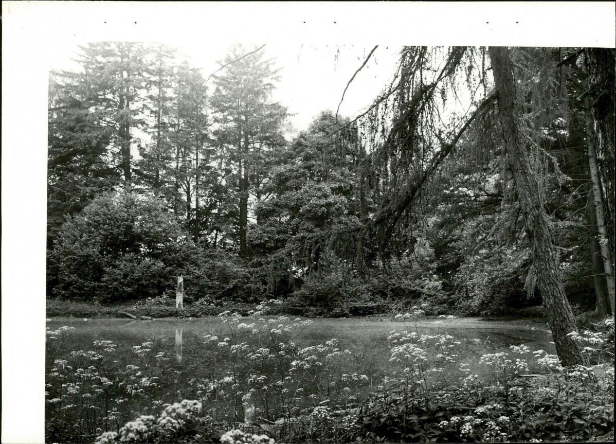 Ewidencja parkowa, skan nr 22