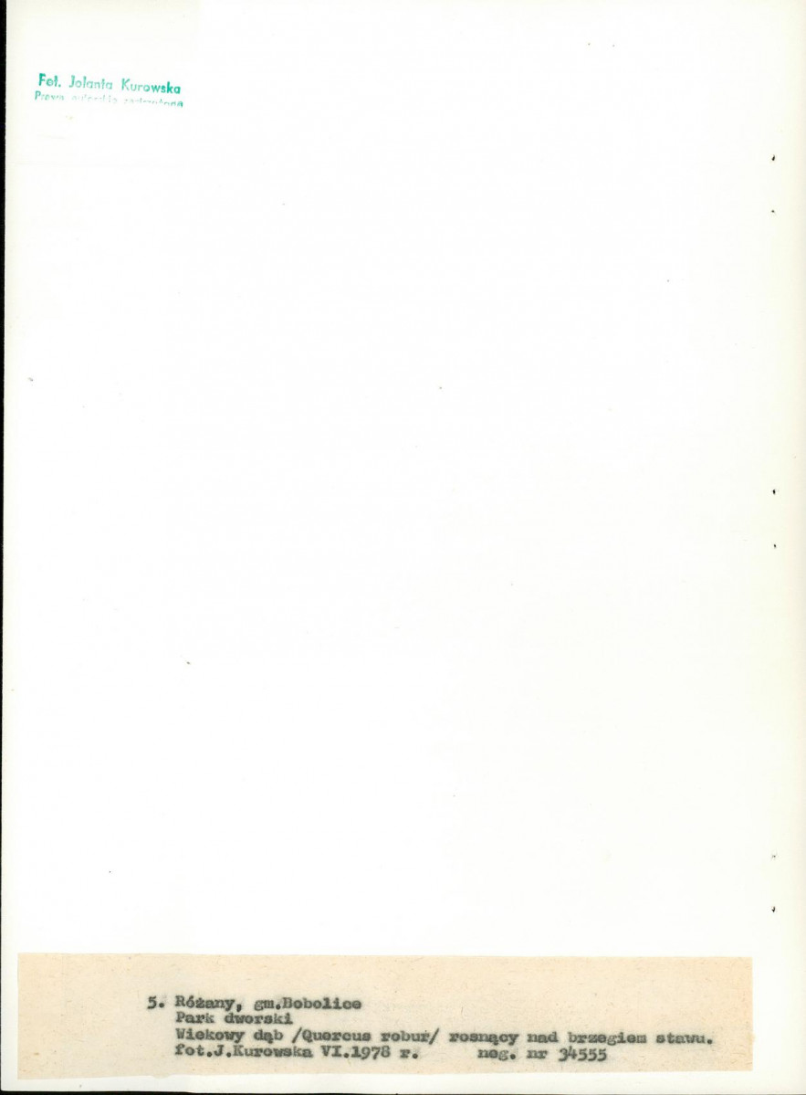 Ewidencja parkowa, skan nr 27