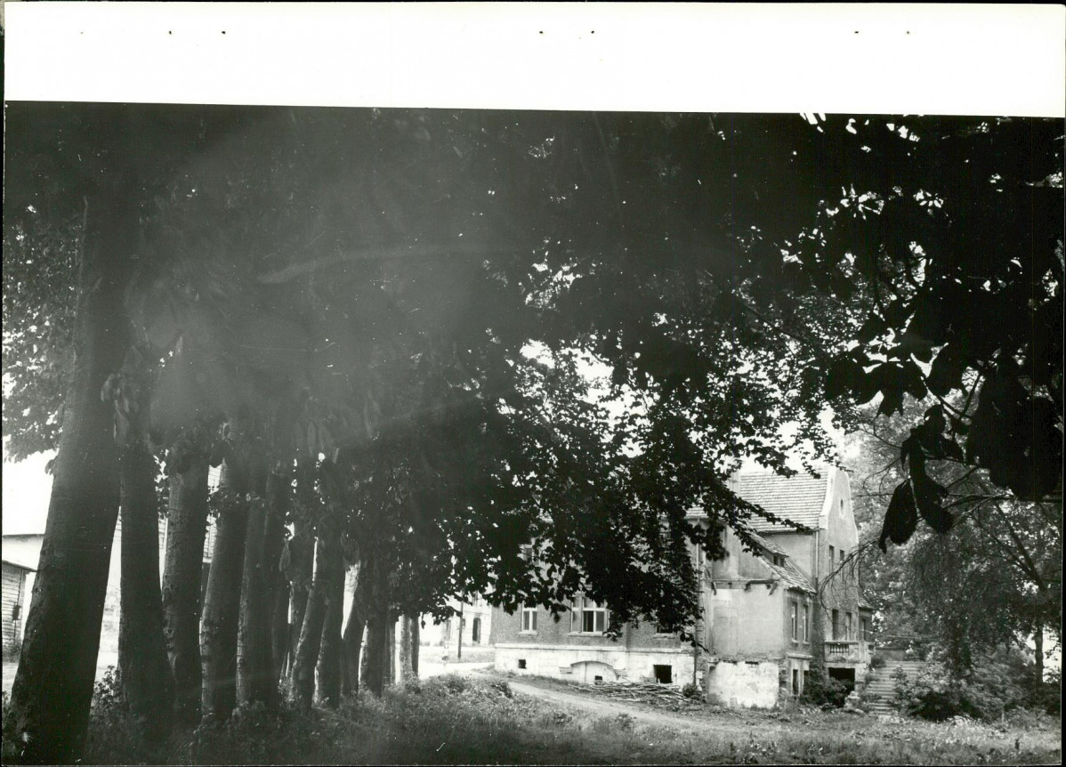 Ewidencja parkowa, skan nr 18