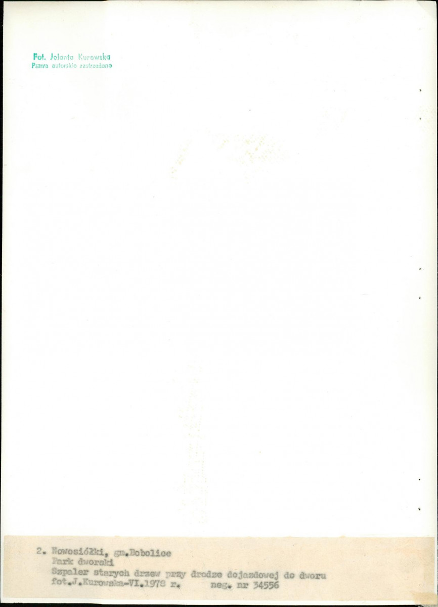 Ewidencja parkowa, skan nr 19