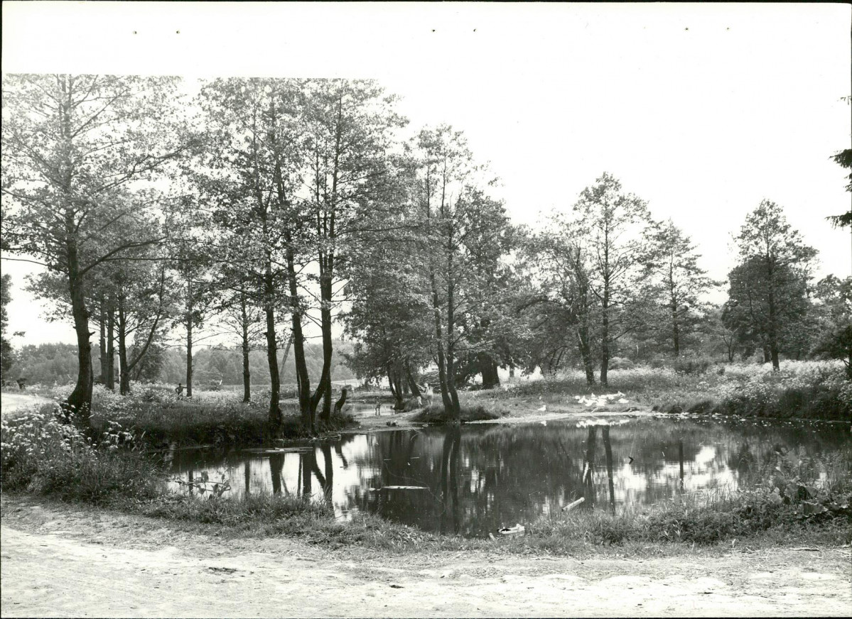 Ewidencja parkowa, skan nr 22