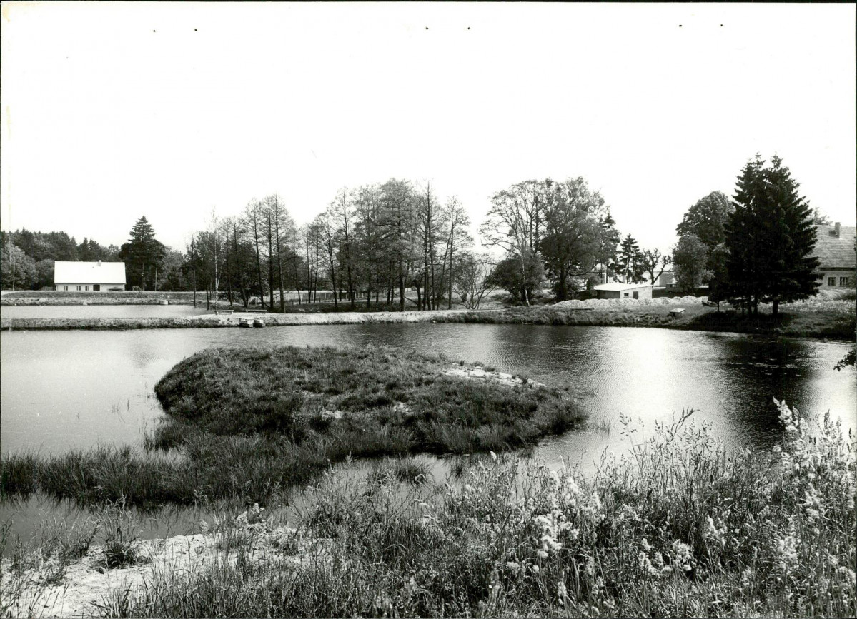 Ewidencja parkowa, skan nr 21