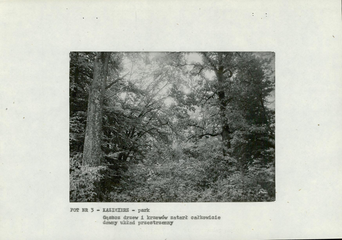 EP - Ewidencja parkowa, skan nr 18
