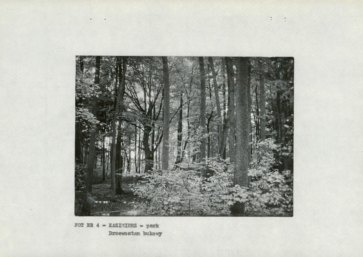 EP - Ewidencja parkowa, skan nr 19