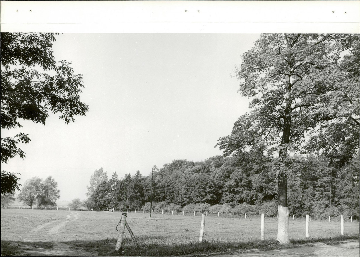 Ewidencja parkowa, skan nr 17