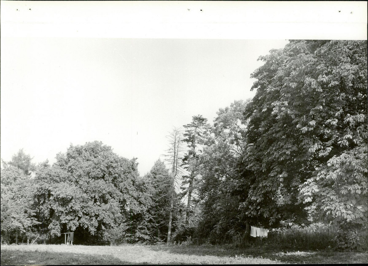 Ewidencja parkowa, skan nr 21