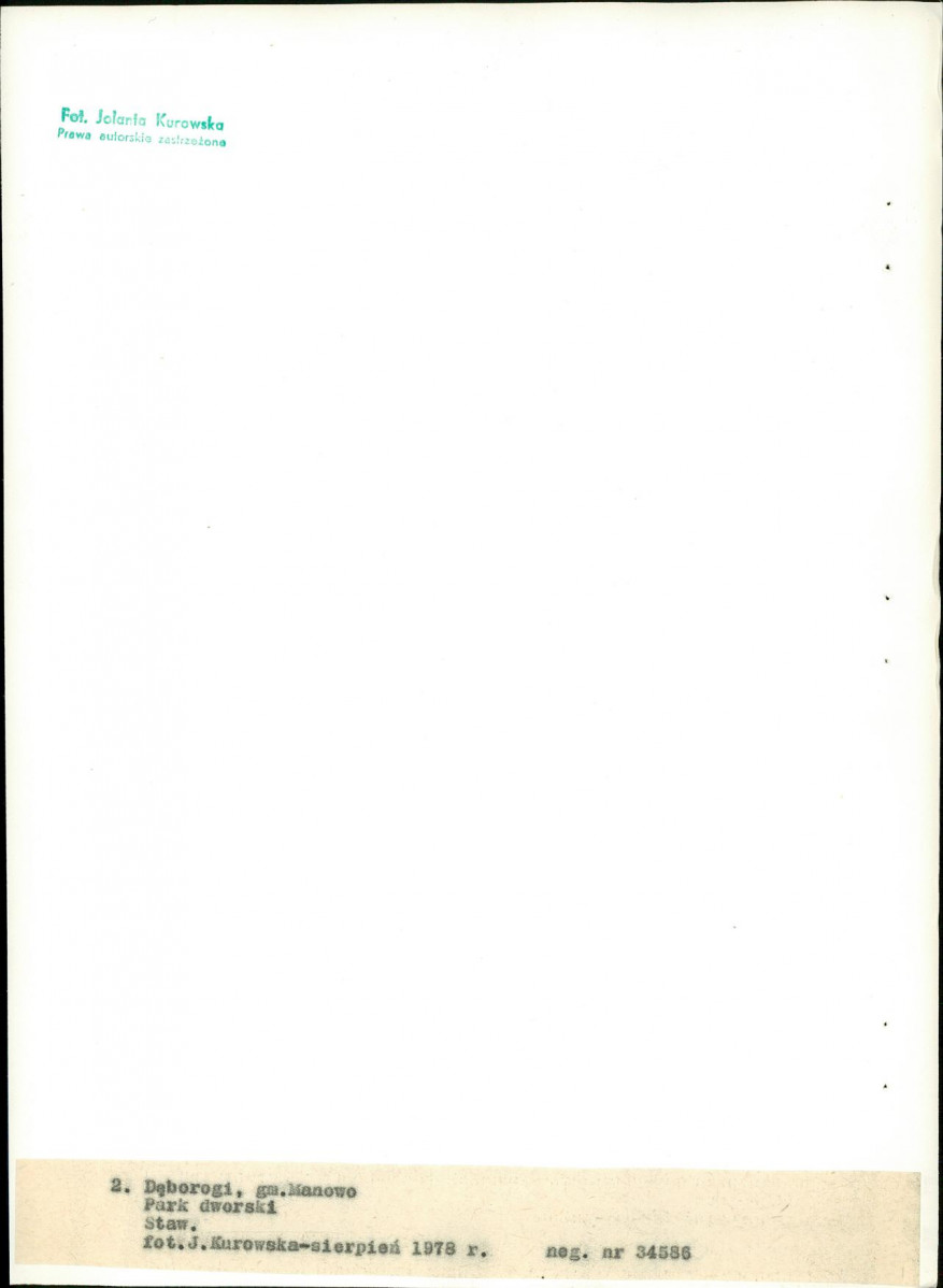 Ewidencja parkowa, skan nr 21