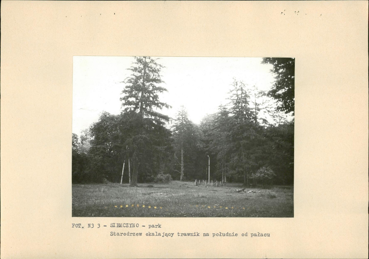 Ewidencja parkowa, skan nr 22