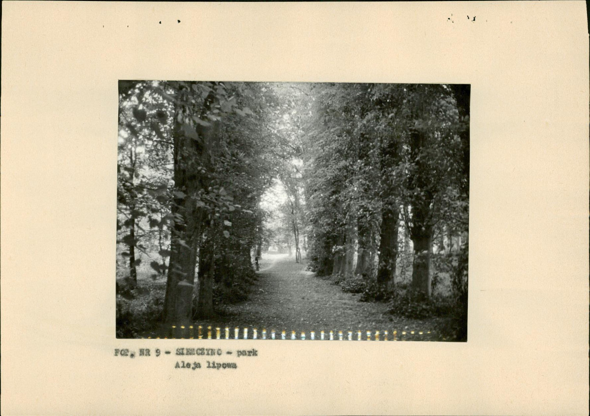 Ewidencja parkowa, skan nr 28