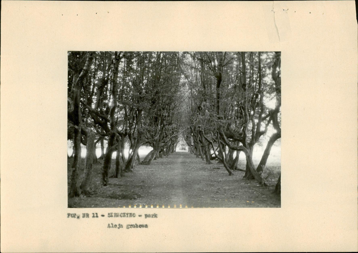 Ewidencja parkowa, skan nr 30