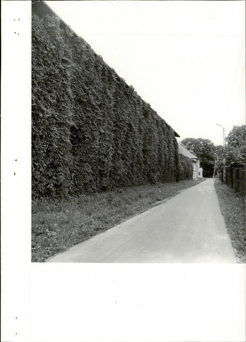 Ewidencja parkowa, skan nr 26