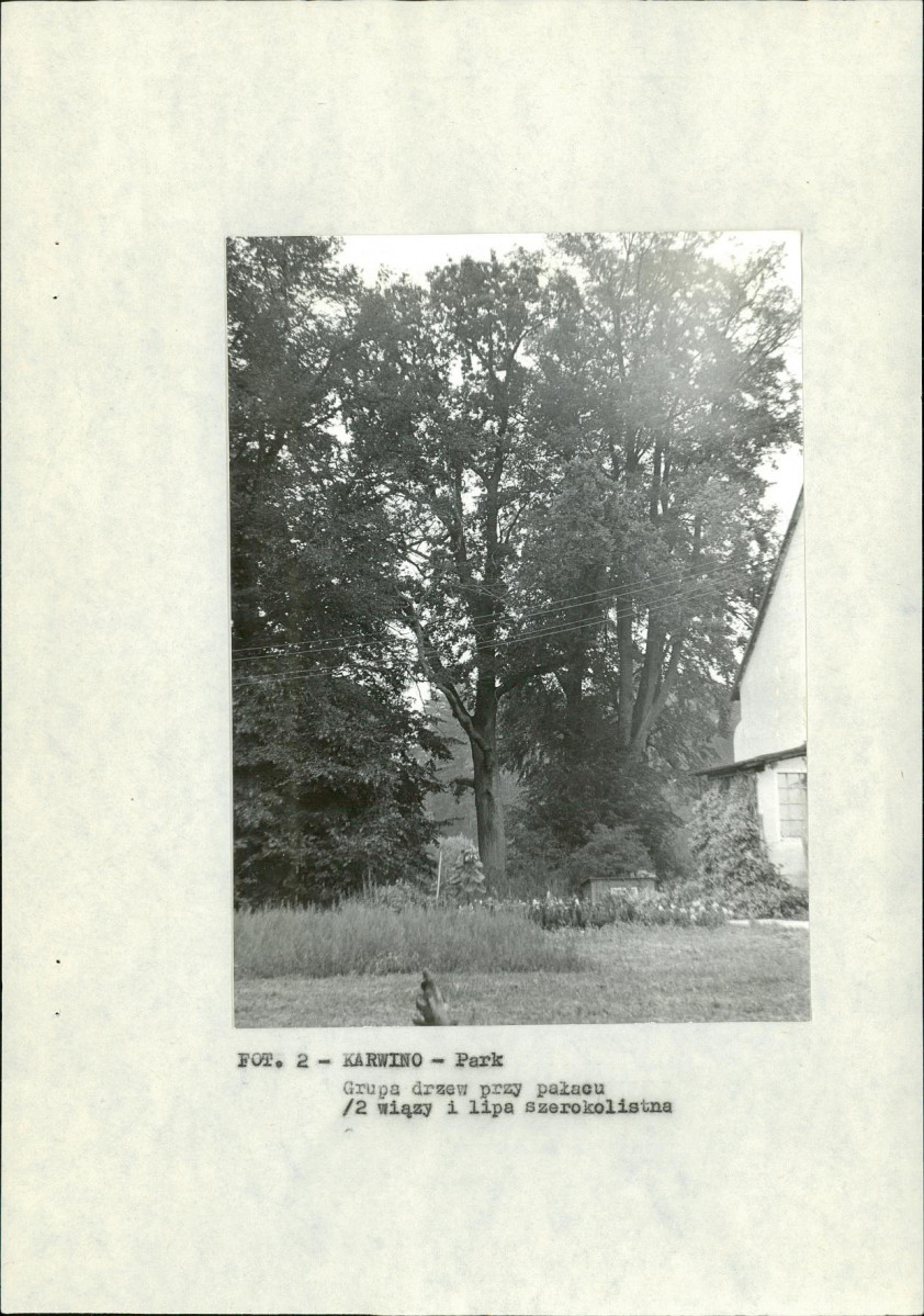 Ewidencja parkowa, skan nr 12