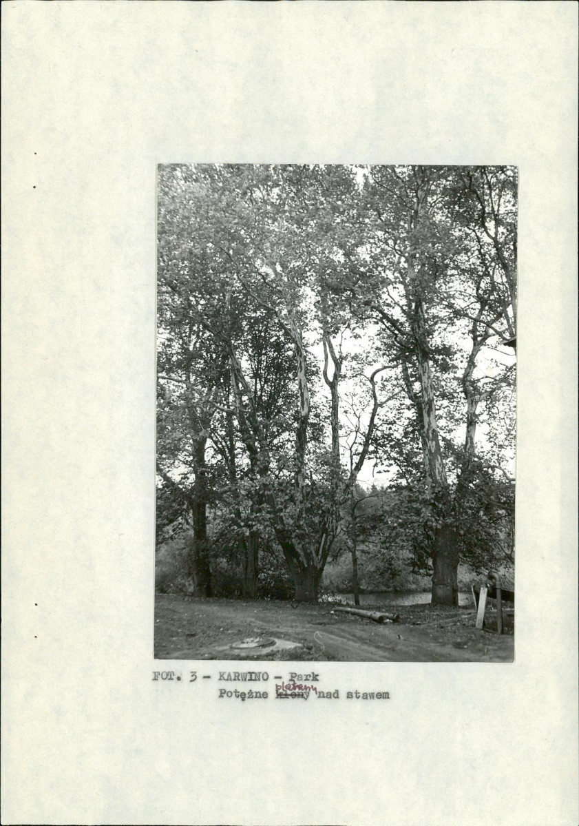 Ewidencja parkowa, skan nr 13