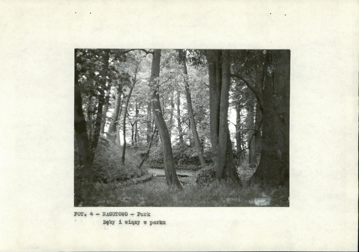 Ewidencja parkowa, skan nr 13